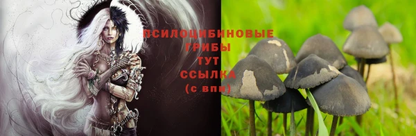 марки nbome Горняк