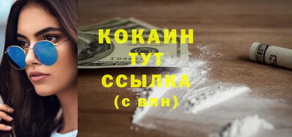 мдпв Горнозаводск