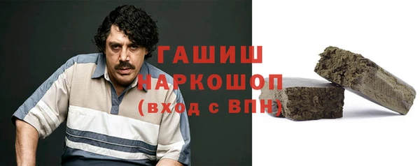 мдпв Горнозаводск