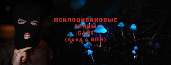 мдпв Горнозаводск