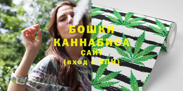 мдпв Горнозаводск