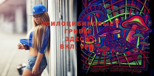 мдпв Горнозаводск