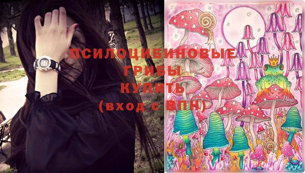 марки lsd Горно-Алтайск