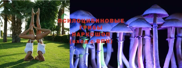 мдпв Горнозаводск