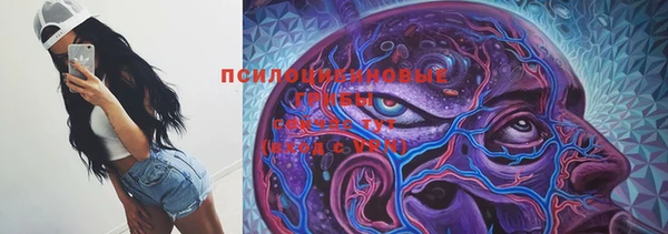 мдпв Горнозаводск
