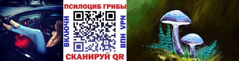 цены наркотик  Приволжский  Галлюциногенные грибы Magic Shrooms 