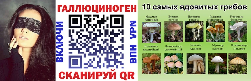 Галлюциногенные грибы мухоморы Приволжский